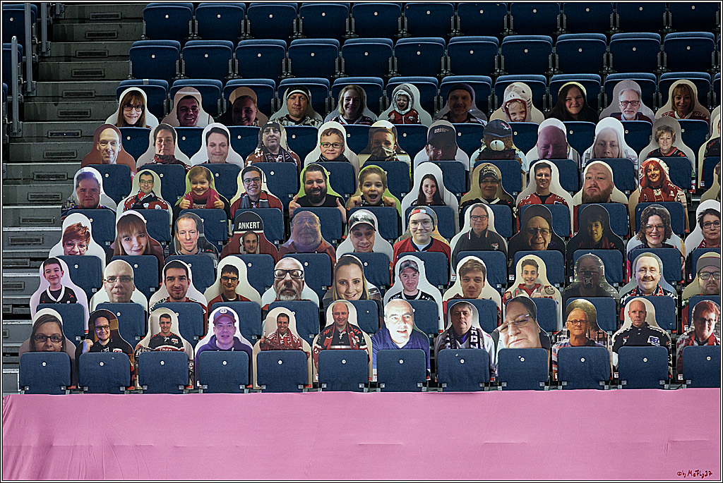 PENNY DEL;  Koelner Haie - Fischtown Pinguins Bremerhaven; Koeln, 12.02.2021